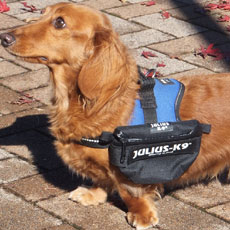 ユニバーサルIDCサイドバッグ