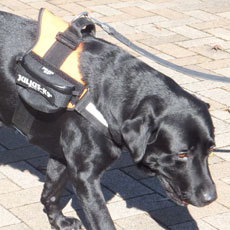 ユニバーサルIDCサイドバッグ