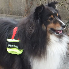 ユニバーサルIDCサイドバッグ