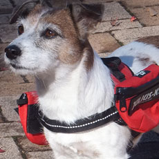 ユニバーサルIDCサイドバッグ