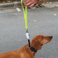 IDCルミネ蛍光リード