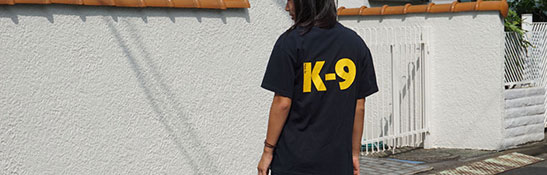 Lakis Latis - Power Harness