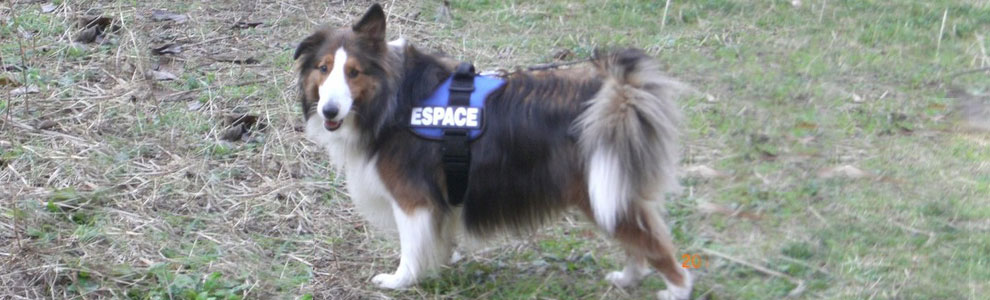 Lakis Latis - Power Harness