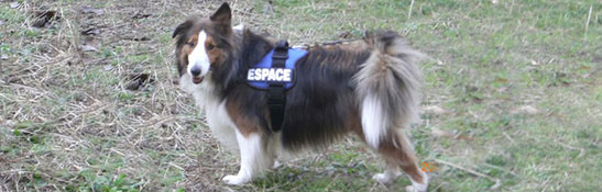 Lakis Latis - Power Harness