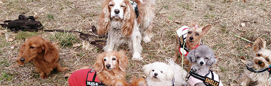 Lakis Latis - IDC Caoutchouc