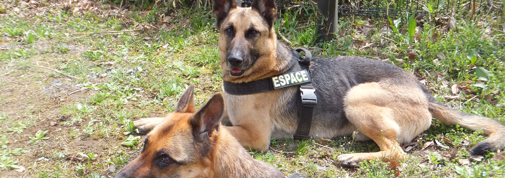 Lakis Latis - Escape