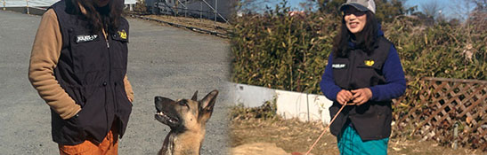 Lakis Latis - Power Harness