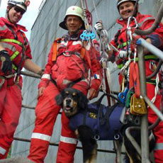 Descending and Carrier Harness