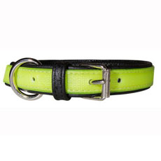 IDC Lumino Collar