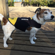 ドッグジャケット(ネオプレン素材)