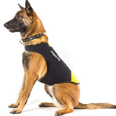 ドッグジャケット(ネオプレン素材)