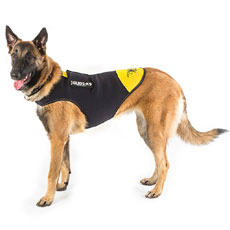 ドッグジャケット(ネオプレン素材)