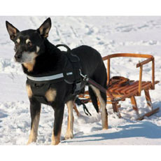 パワーハーネス