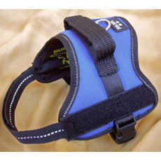 Power Harness ブルー