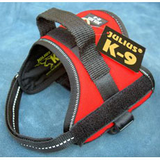 Power Harness レッド