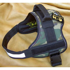 Julius K9 (Lakis Latis)