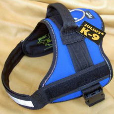 Power Harness ブルー