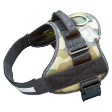 Julius K9 (Lakis Latis)