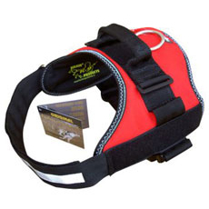 Power Harness レッド