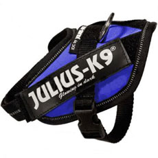 Power Harness ブルー