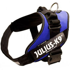 Power Harness ブルー