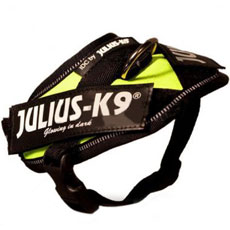 IDC powerharness Neon Baby