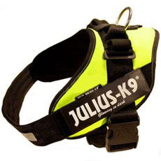 IDC powerharness Neon Size 1 - 4