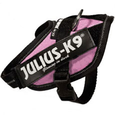 Power Harness ピンク