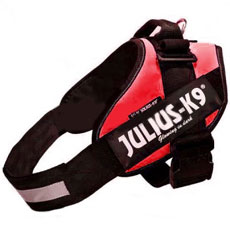 Power Harness レッド