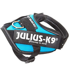 Power Harness アクアマリン