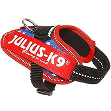 Power Harness アメリカ国旗