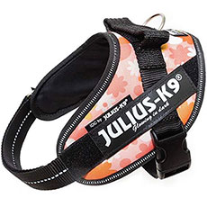 Julius K9 powerharness